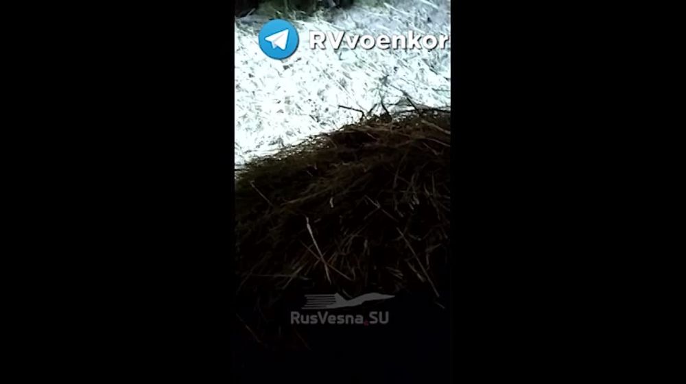 ����� � �������� ������� �� ������: "������ ��� �� ����