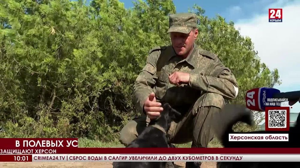 �������������� ��������� �������� �������� ���������� �������� ������