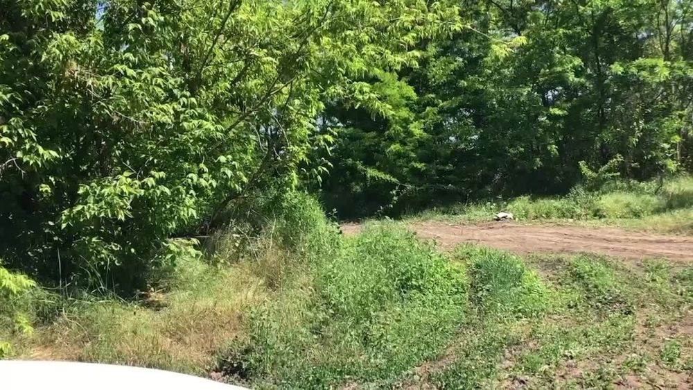 ����� � ������� ��������� � ���������� �������, �� ��� �������� ����������� �����������, ������� �������� ������-����������� ������������� ������� ������ ����������