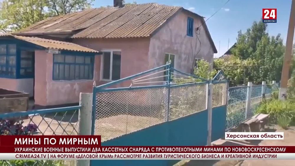 �������� ������ ������ ����������� �������� �� ������� 24�