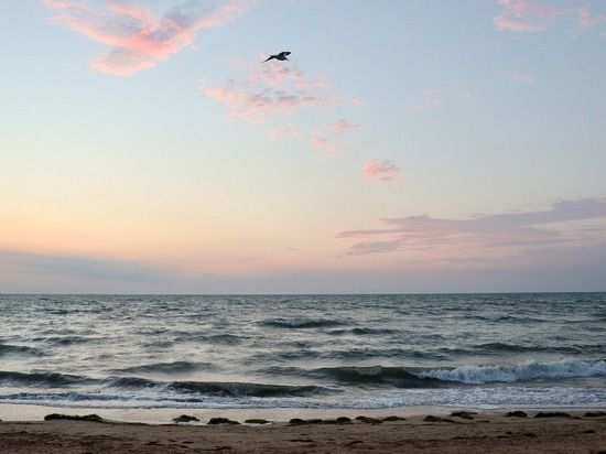 ������������� ����������� ���: ������� �������� �������� ����� � ��������� ����