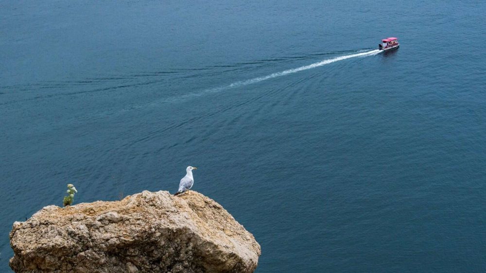 ������� �������� �������� ����� � ��������� ���� � ������ ���������