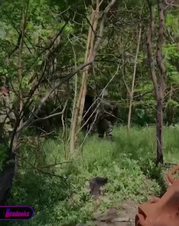 � ���������� ������� ��������� ���������� ����� � ������� � ������