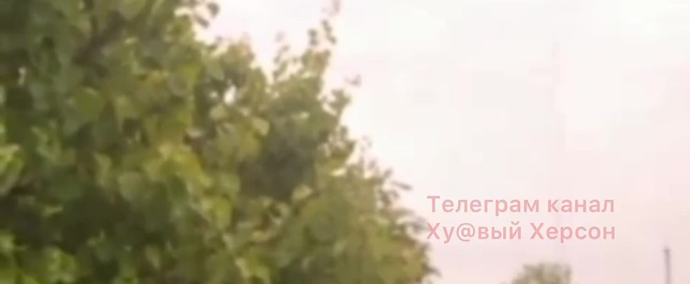 ����� ������ ���� ������������ � ���������� �������