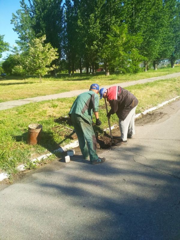 ��������� ��� �����������: