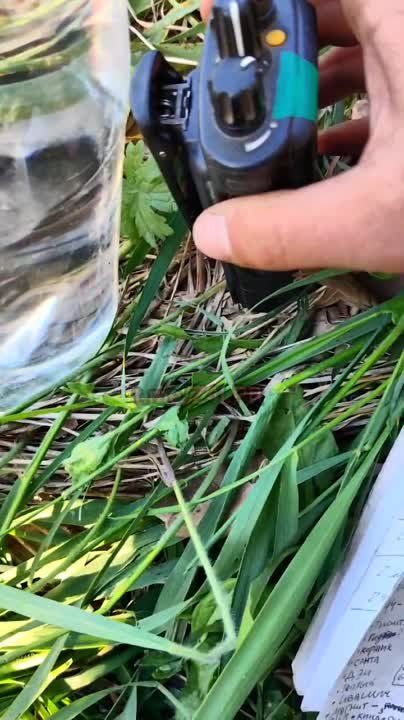 ��������� ����� 34 ��������� ��� ������������ ������������� 4 ������� ��� ���� ����, � ����� ������ � ���������� ?