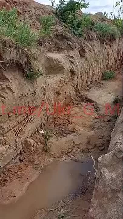 ����� ������������, ��� � ��� ��������� ��������, ������� �������, �� ����� �� ������������ ?