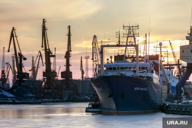 ����������: ������ �� ��������������� ���������� � ������ ����