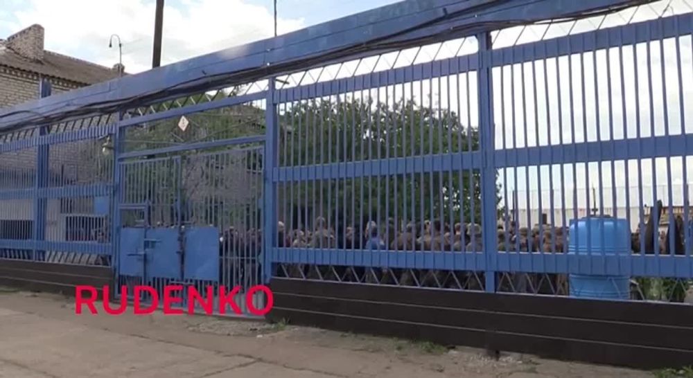 ������ ����� � ����� ���������� �������������, �������� � ������ ����������� ?