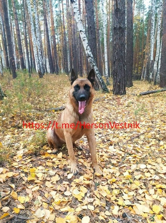 ����������! ���- ������