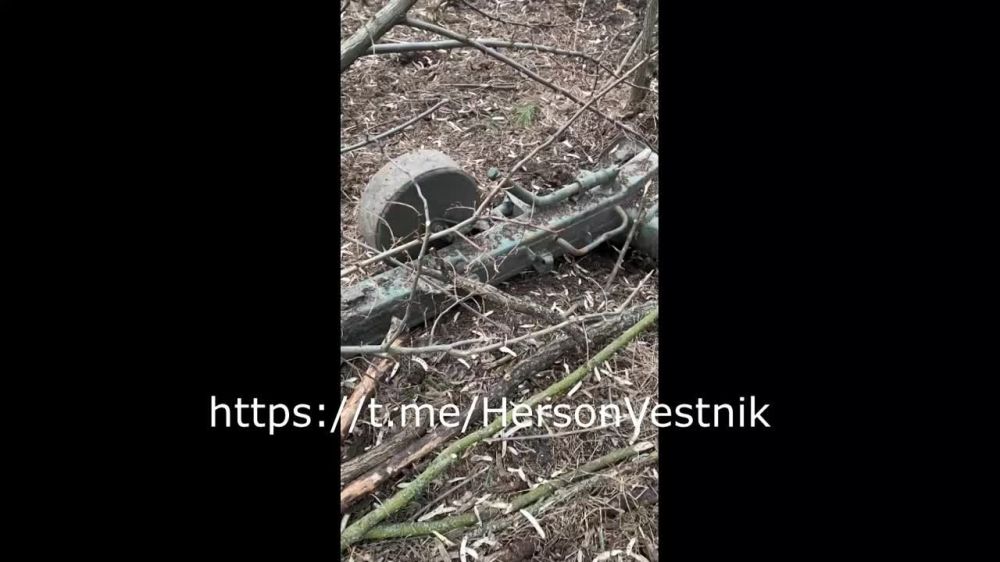 �������� ������� ������������� 28 ������� ��� �� ��������� - ���������� �����������