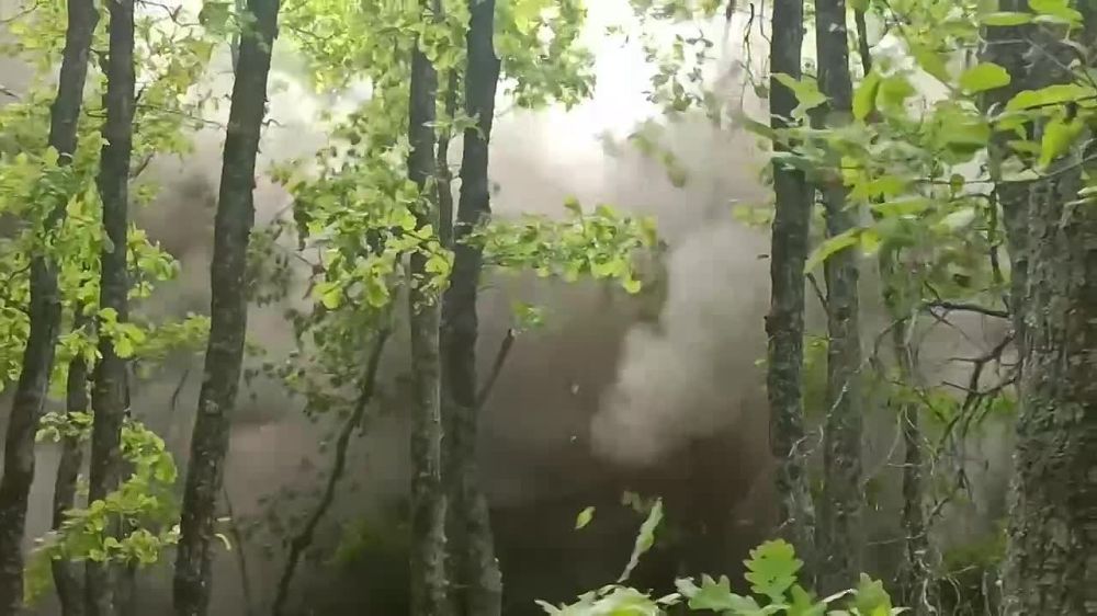 �� �� ������ �� ���������� ����������������� ������ ������� � ��������� ���������� ����� 15 ���������� ������ � ������ ����� ������ � ���������� ��