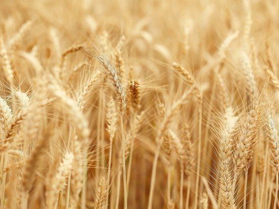 ���������� ������ ������ ������� ����� � ������