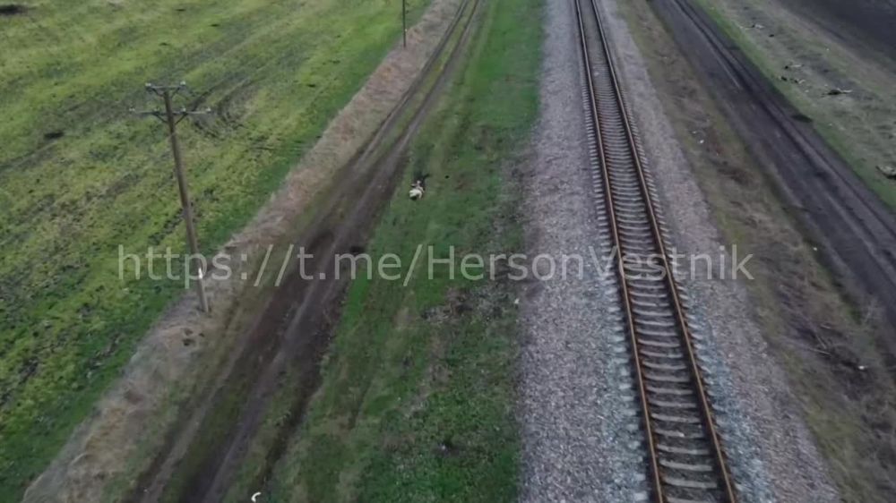 90 ��� 63 ������� ��� �� ��������� - ���������� �����������