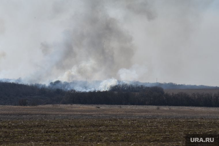 ��� �������� ����� ���������� ������