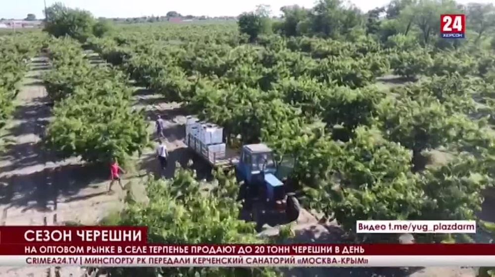 �������� ������ ������ ����������� �������� �� ������� � ��������� 24�