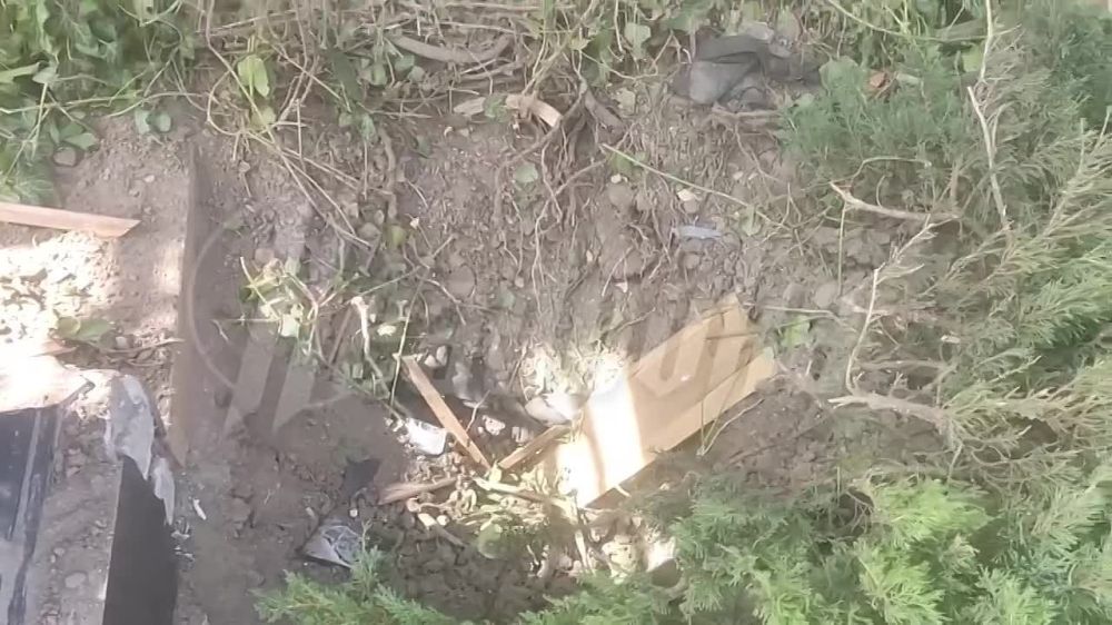 �������� ������������ ������ � ���� ���� ������