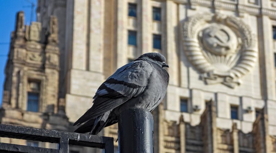 ������ �� ����� ��������� � ������ ������ ���������� � ����������� ��������