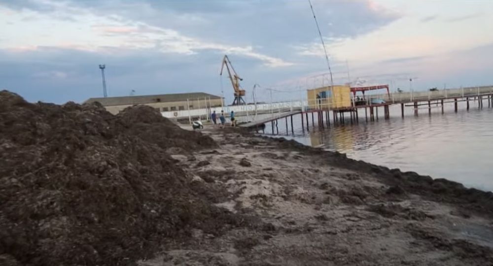 � ��������� ��� ���������� � ������ ��������