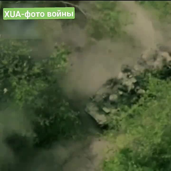 ���� ���������� �������� �� 35-� ������� �� ���������� �������, ���������-������������ �����������