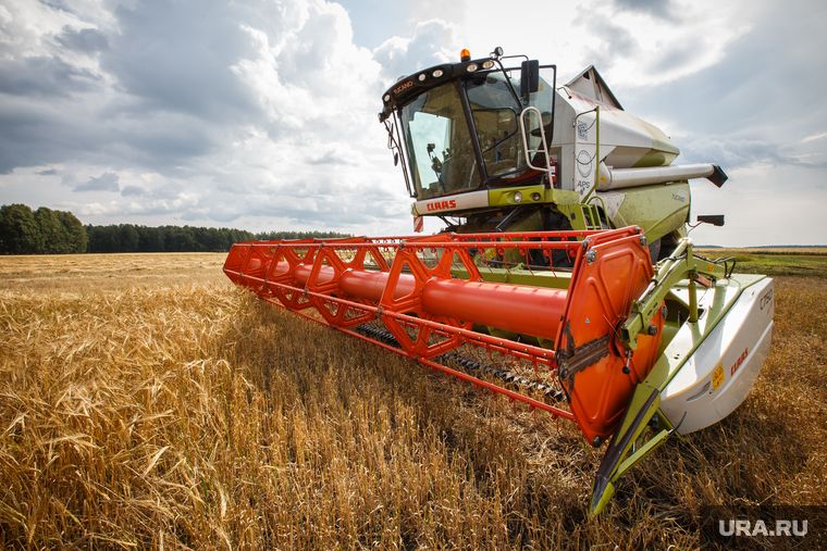 Кириенко пообещал, что Россия решит проблемы фермеров Херсона