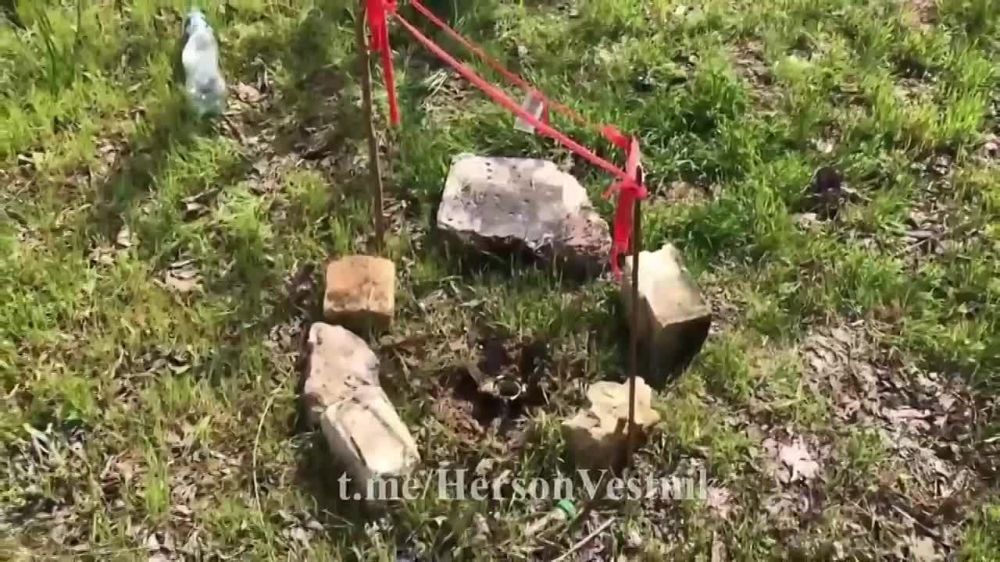 �������������� ��������������� ������� ������ ��������� ������-ӻ � ����� �������