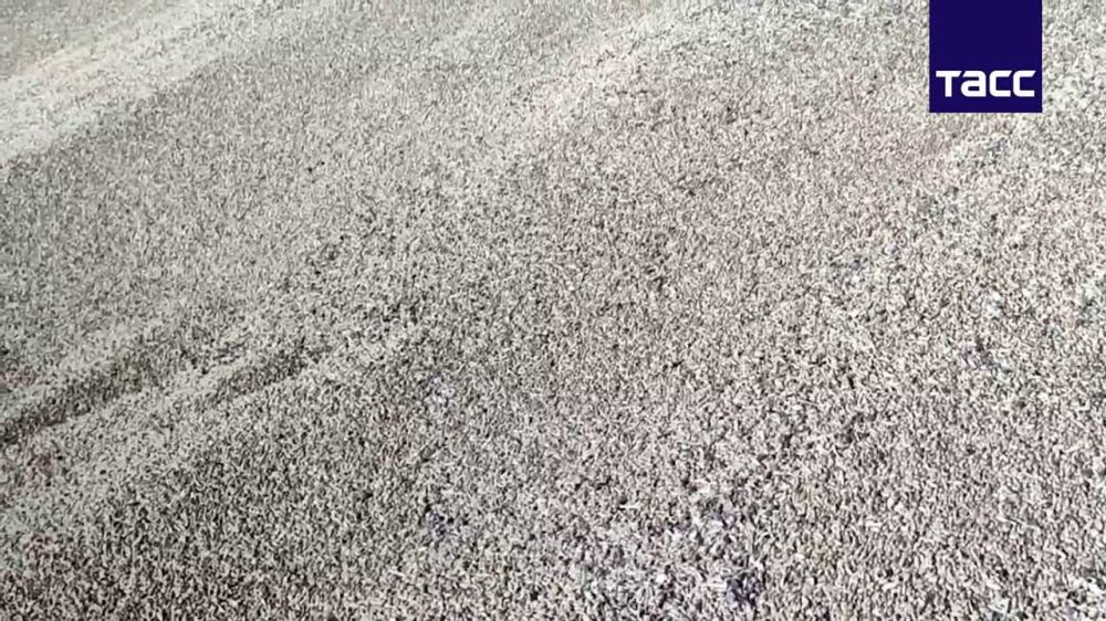 ������ �� ���������� �������, � �������� �� ������� 600 ���� �������, ���������, ��� ����� � ��������� ��������� ���� ��������� � ������