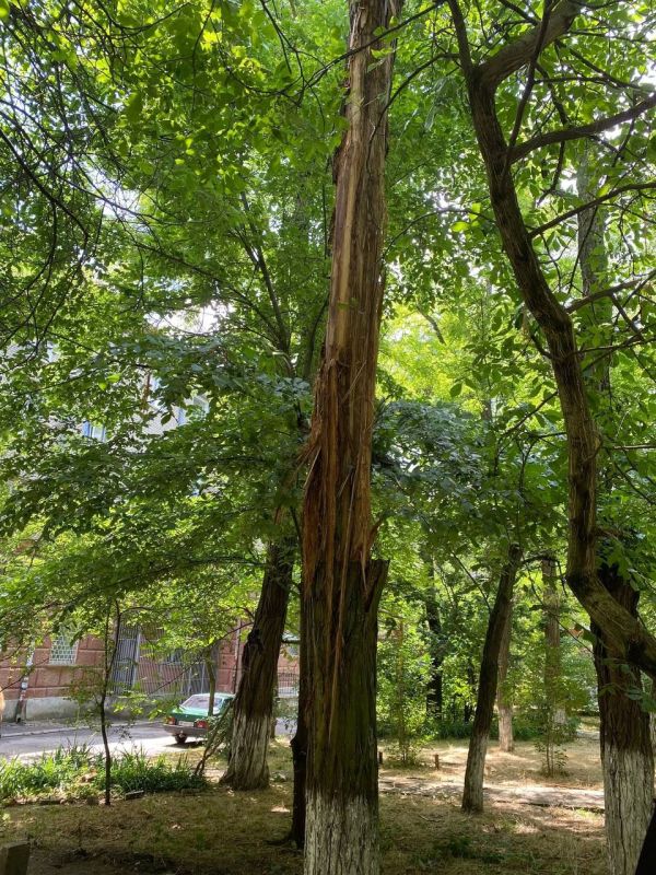 � ������� ������ ��������� ������