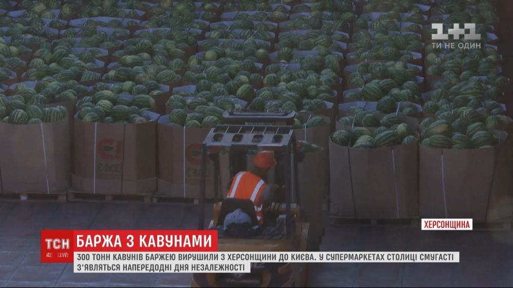 � ��� ������ ������� ��� ���, ��� ����������� ����� �������