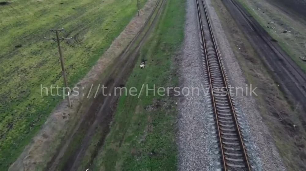 ��������� ������ ����������� �������� � ���������� �������