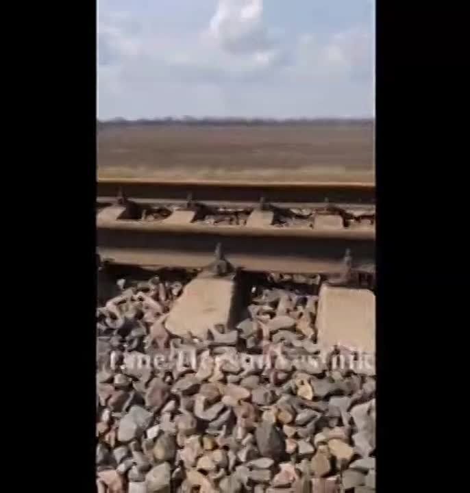 ���������� ����������� � ���� ���� � ��� � ���������� �������, ������ 2022 ����