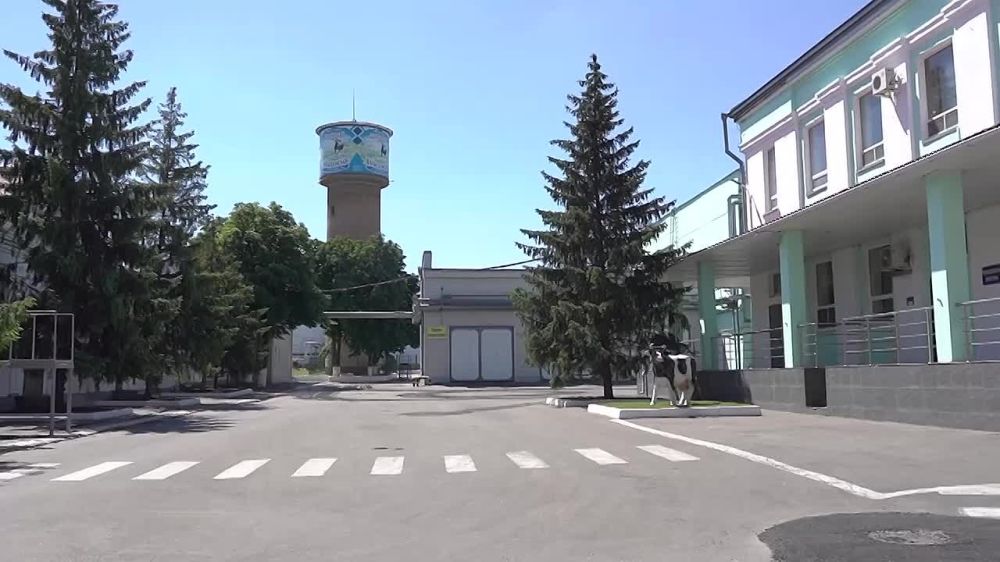 ����� �� ������������ ������� ������� �� ������������ �������������, ��� ��������� �������������� ������ ���������� ������ ��� ������� � ��� ������������