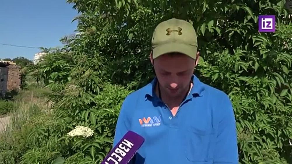 "������ ������, ������ �� ������� � ���������, ����� ���� ���������, �������: "�����, ������"