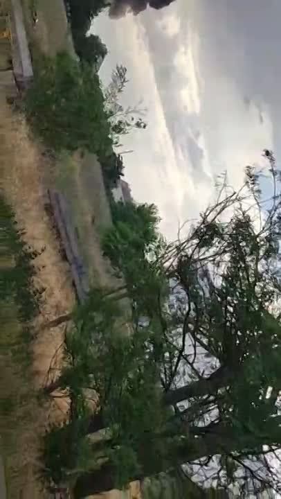 � ������ ����� ������� ���������� ������� ��������� ������