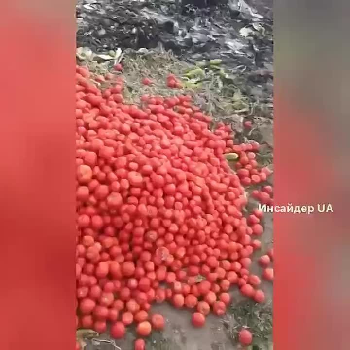 � ���������� ���, ��� ������ ������ ������� �����