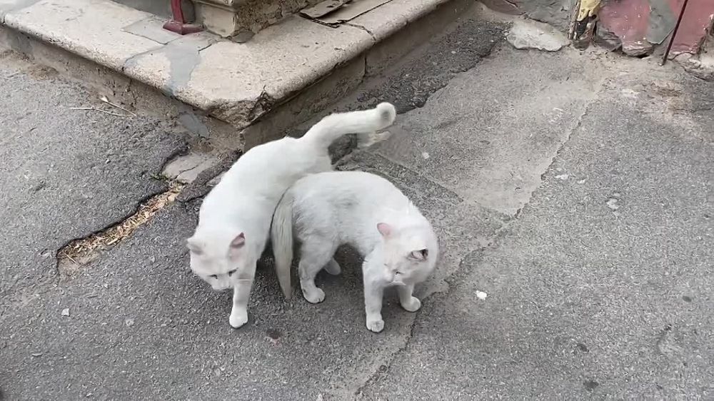 "����������, ����� ������������� ����!" � ���������� ������ ���������� ����� ����� � �������� ��������