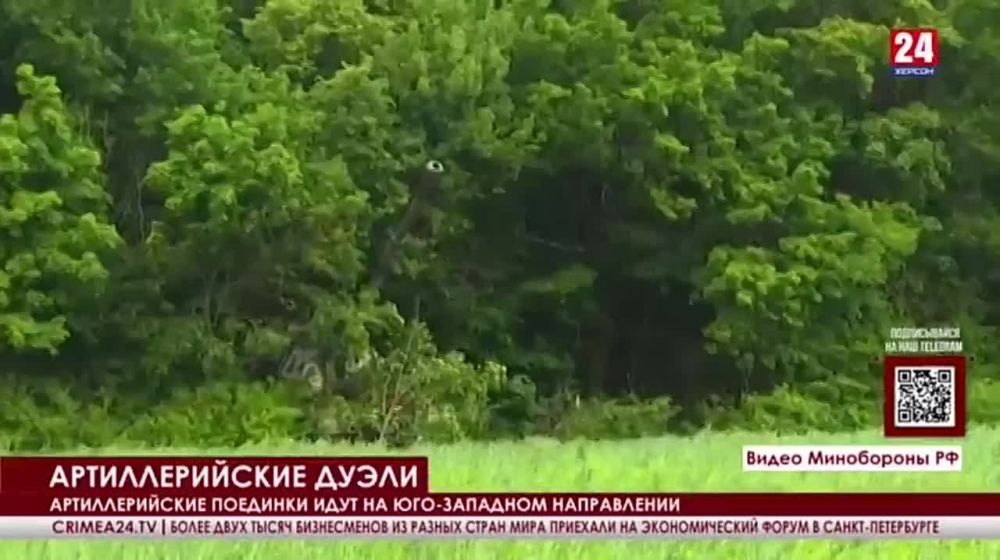 ����� ����� ����� ���������������