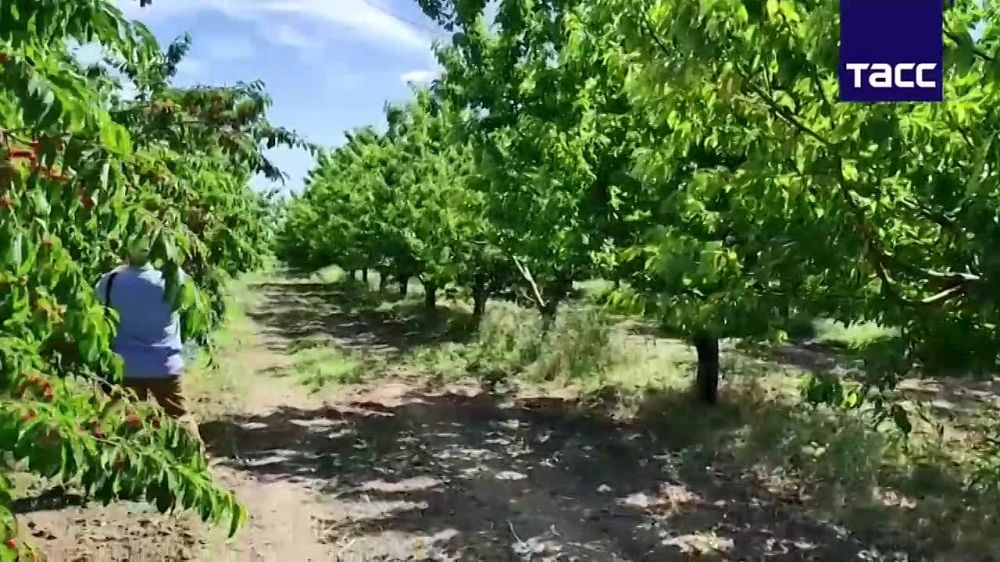 ������� ���������� ������� ������ ���� �������