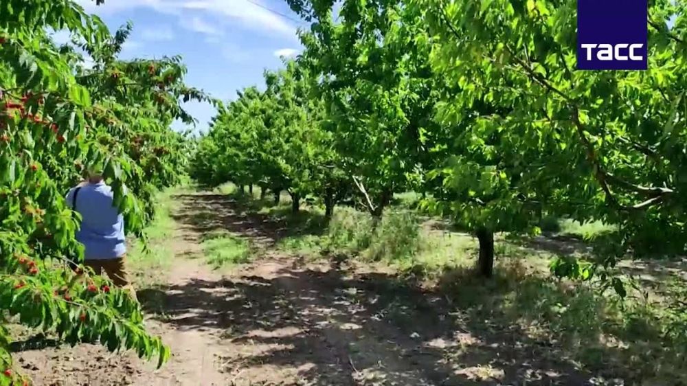 ������� ���������� ������� ������ ���� �������