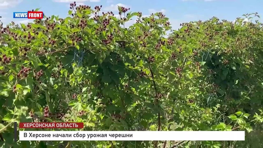 � ������� ������ ���� ������ �������