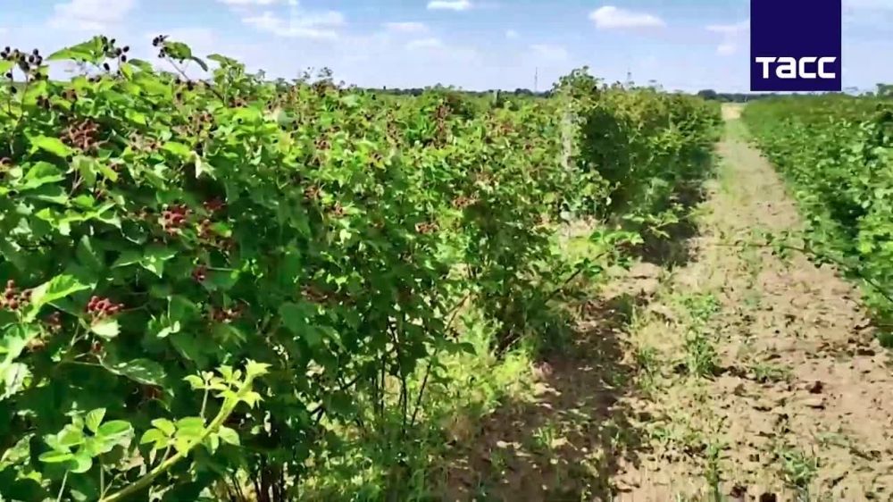 ������� �� ����� ������� � ������� ��������� ��������� ������������� ����� �� ������� � ������, ������� ������������ ������-����������� ������������� ���������� ������ ���������� ������� �������� ��������