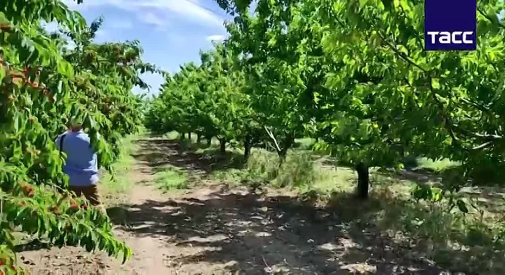 ������� ������� ������ ���� �������, ������� ����� ������������ � � ������� ������