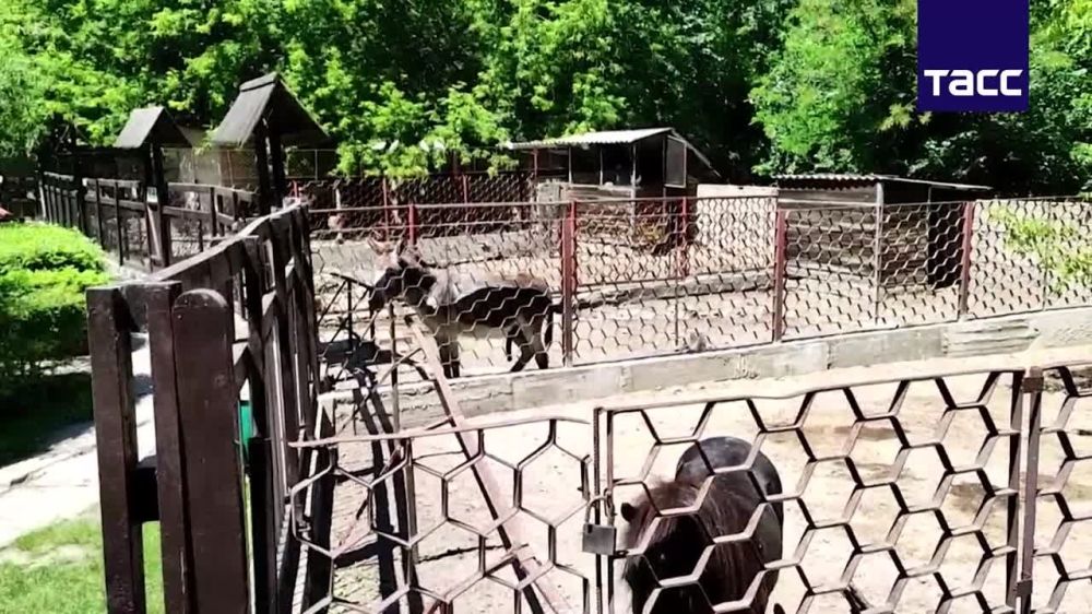 � ����� ������� � ���������� ������� ���������� ��������������� ������� �������, ���� ����� ������ ������