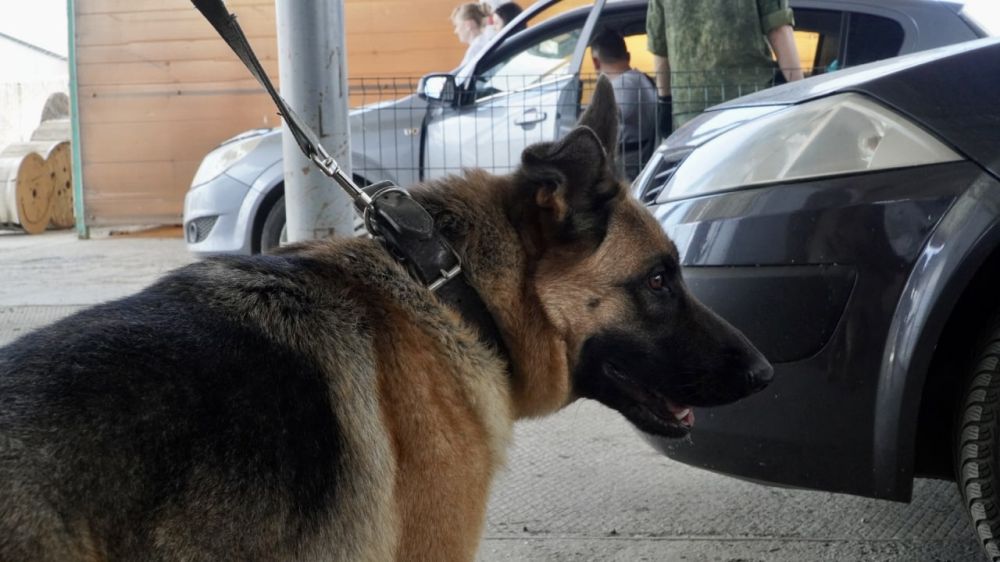 ����������, ����� ��������� ������ �� ������� ����� ������ � ���������� ��������