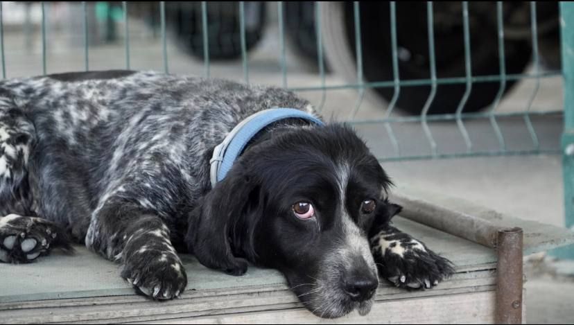 ����� ���������, ������� ������ �� ���� ��� ������������ ������� ����� ������ � ���������� ��������