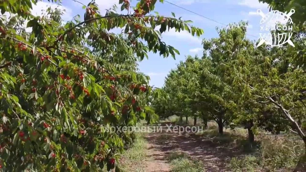 � ���������� ������� ������� ���� �������