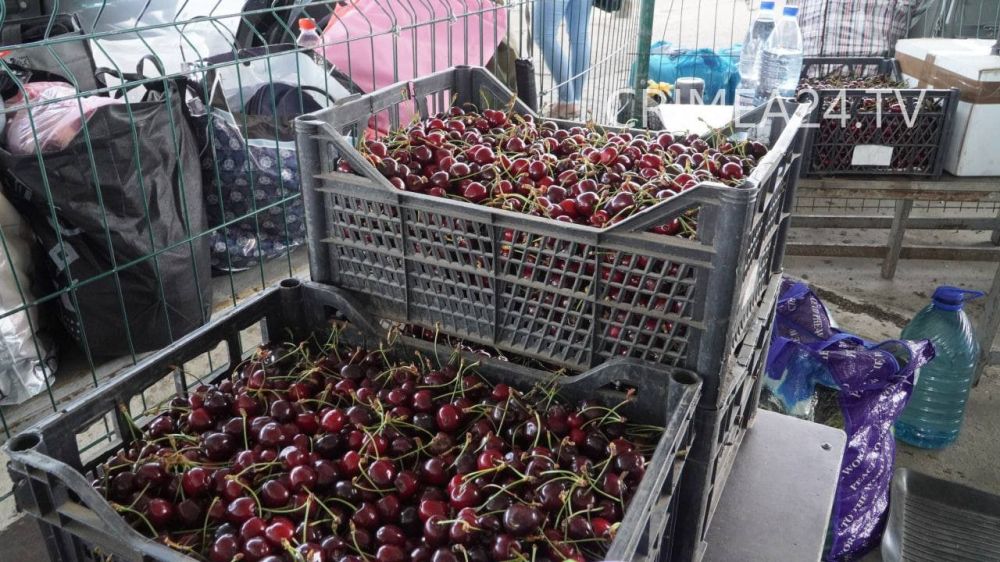 ������� � ���������� ������� ����� ������ �� 25-30 ������ �� ��������� �����, � � ������� � �� 60-70 ������