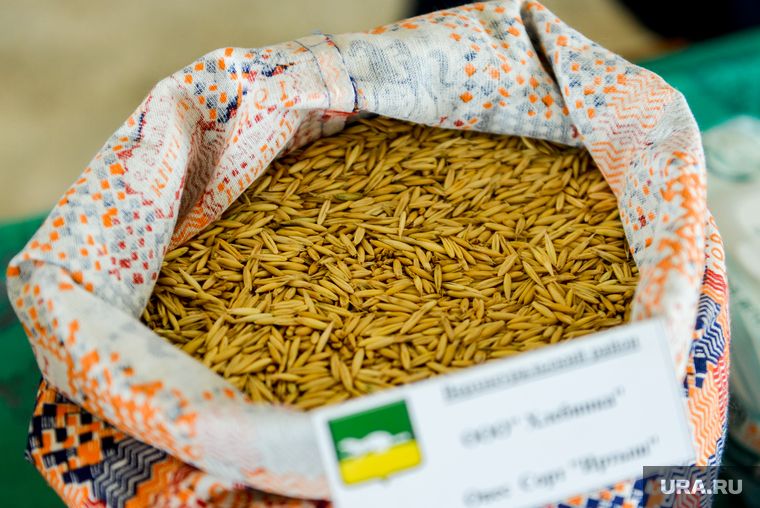 � ������� ������� ������ �������� ��������� ������ ��������