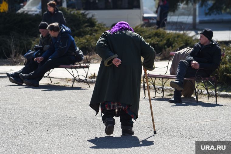 ������ ���������� ������� ������������ � ������� �����