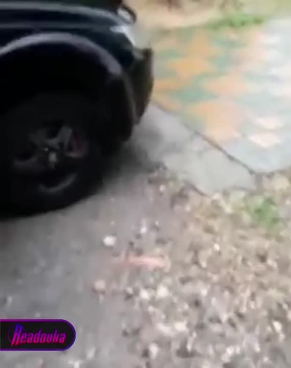 � ������ ������� ��������� ������ �����, ������������ ��������� ��������� �� ����� ���� �� ���������� �������